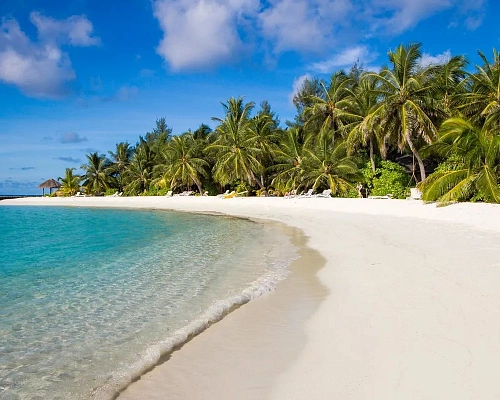 Summer Island Maldives фото 5