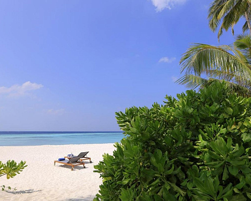 Avani+ Fares Maldives Resort фото 0