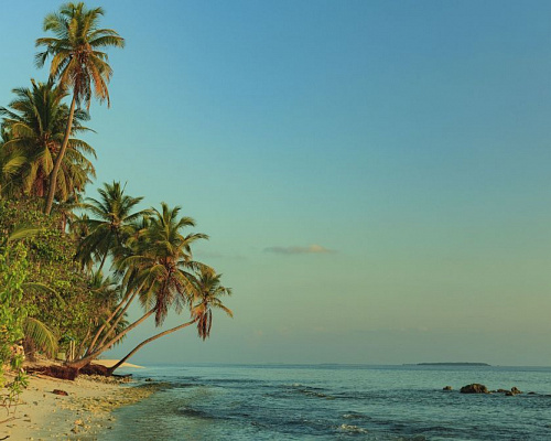 Dhonfulhafi Beach View & Spa фото 28