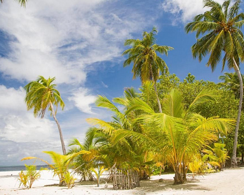 Dhonfulhafi Beach View & Spa фото 21