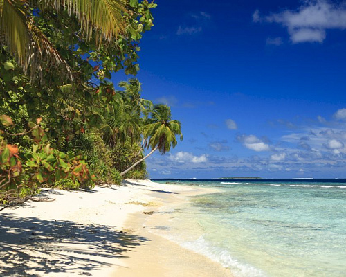 Dhonfulhafi Beach View & Spa фото 29