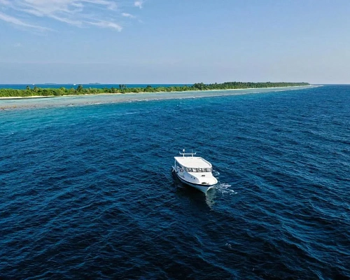 Guest House «TME Retreats Dhigurah Guest House» фото 5