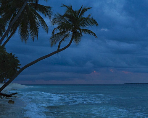 Dhonfulhafi Beach View & Spa фото 31