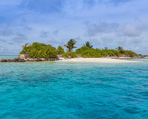 Vaali Beach & Dive Lodge Maldives фото 21