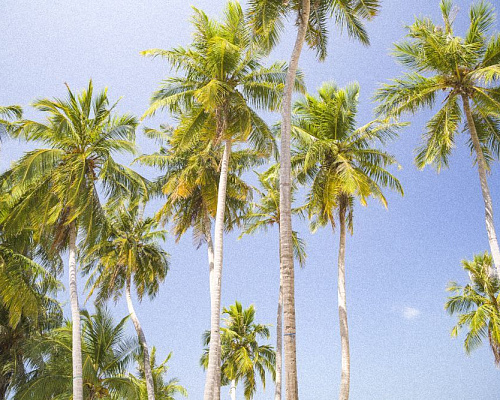 Dhonfulhafi Beach View & Spa фото 32