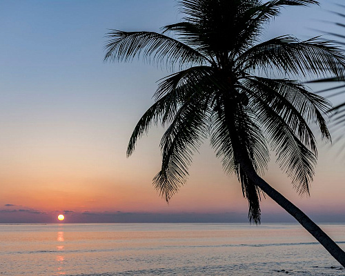 Dhonfulhafi Beach View & Spa фото 6