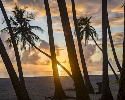 Dhonfulhafi Beach View & Spa фото 30