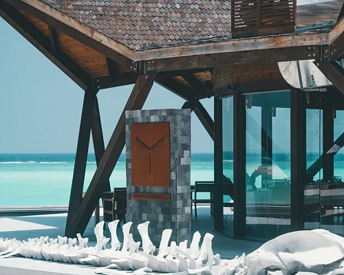 Movenpick Resort Kuredhivaru Maldives фото 33